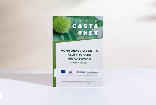 Report Castanet progettazione grafica
