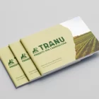 brand manual