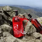 vini del mandrolisai in vetta